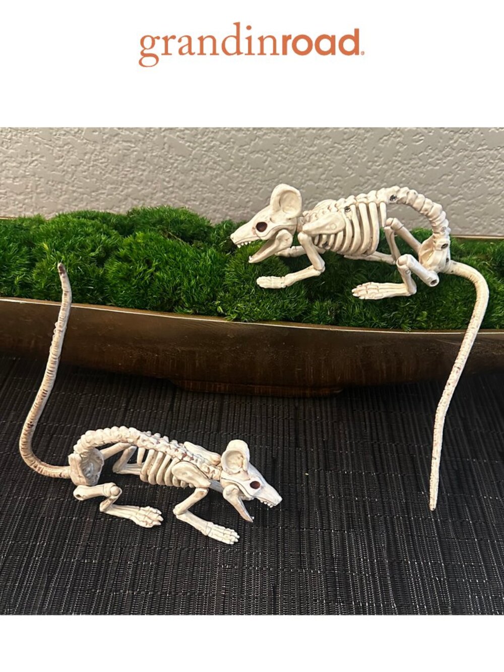 Grandin Road Skeleton Mice, Set of Two, EUC Like New, Halloween